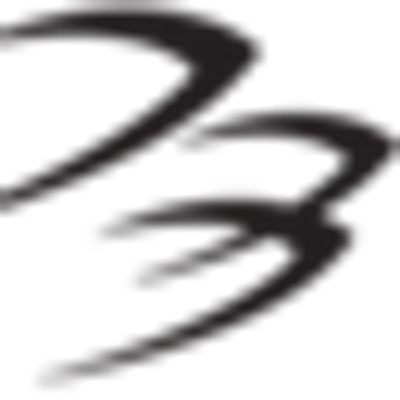 Blackhawk Network (BHN)