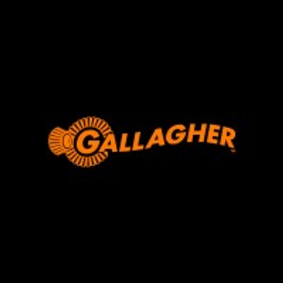 Gallagher Security